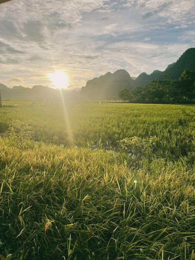 Tam Coc Windy Fields Vila Ninh Binh Exterior foto