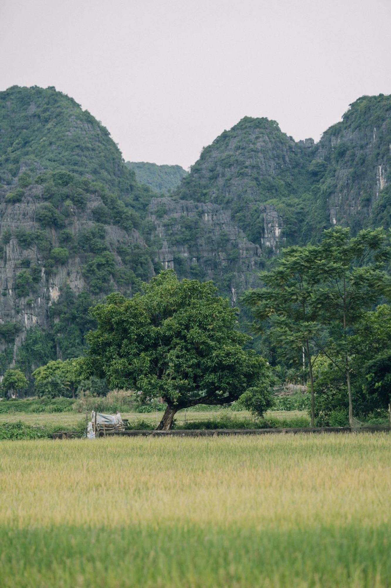 Tam Coc Windy Fields Vila Ninh Binh Exterior foto